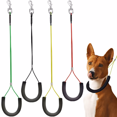 Good Dog Loop